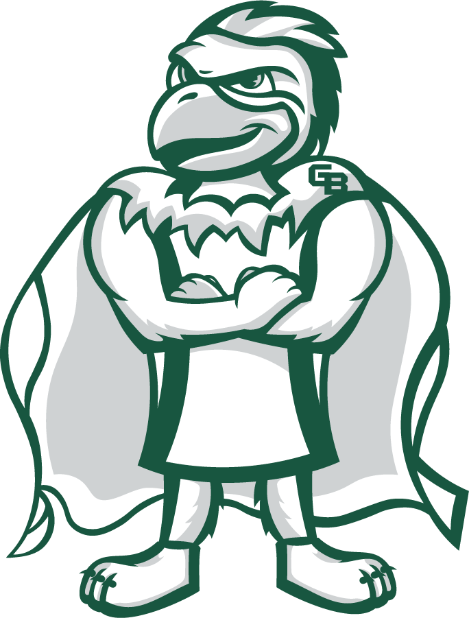 Wisconsin-Green Bay Phoenix 2020-Pres Mascot Logo v4 DIY iron on transfer (heat transfer)